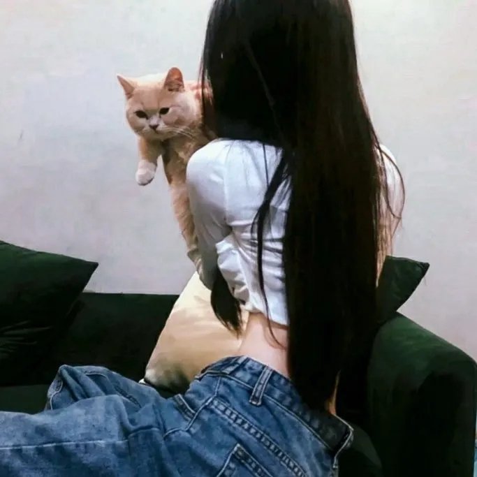 虚拟情人